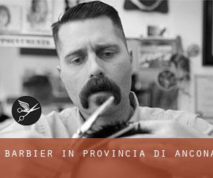 Barbier in Provincia di Ancona