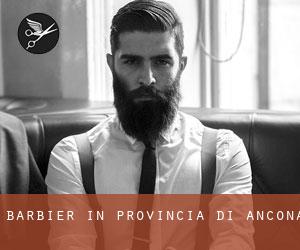 Barbier in Provincia di Ancona