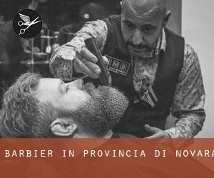 Barbier in Provincia di Novara Barbier in Provincia di Novara