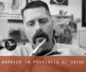 Barbier in Provincia di Udine