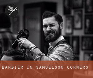 Barbier in Samuelson Corners