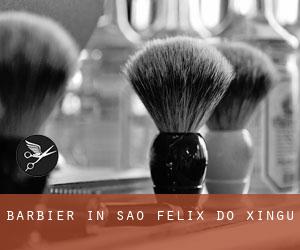 Barbier in São Félix do Xingu Barbier in São Félix do Xingu