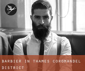 Barbier in Thames-Coromandel District