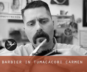 Barbier in Tumacacori-Carmen