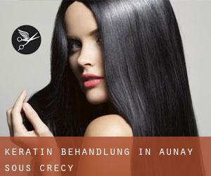 Keratin Behandlung in Aunay-sous-Crécy