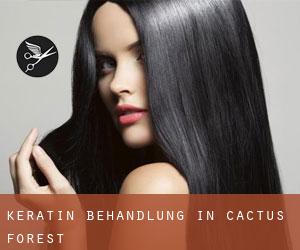 Keratin Behandlung in Cactus Forest