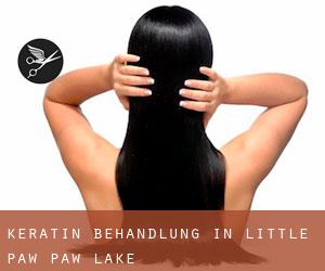 Keratin Behandlung in Little Paw Paw Lake