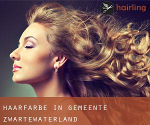 Haarfarbe in Gemeente Zwartewaterland