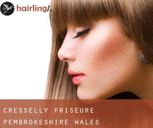 Cresselly friseure (Pembrokeshire, Wales)