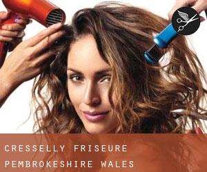 Cresselly friseure (Pembrokeshire, Wales)