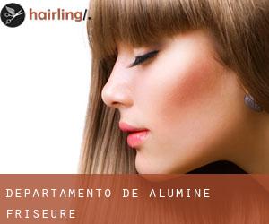 Departamento de Aluminé friseure