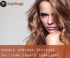 Double Springs friseure (Sullivan County, Tennessee)