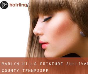 Marlyn Hills friseure (Sullivan County, Tennessee)