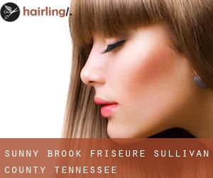 Sunny Brook friseure (Sullivan County, Tennessee)
